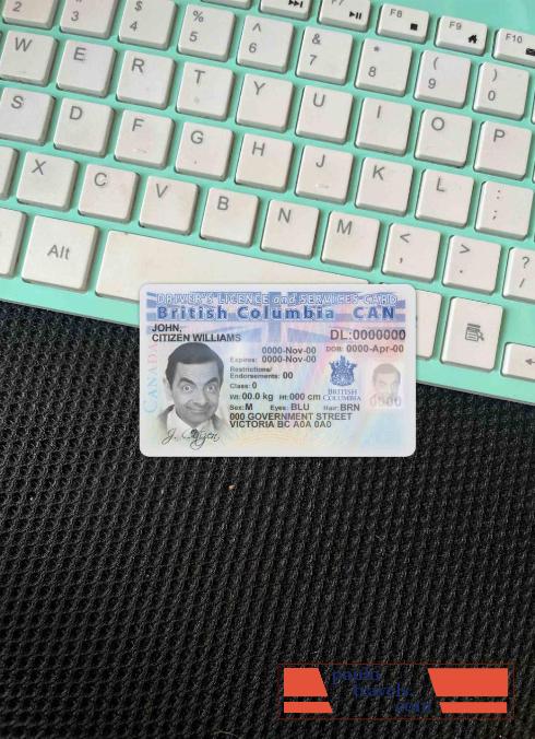 Canada province British Columbia driving license photolook FRONT PSD template